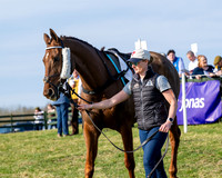 Race 5 - PPORA Five years and over (10 of 163)