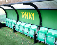 Horsham 1 v 2 Chesham United (14 of 395)