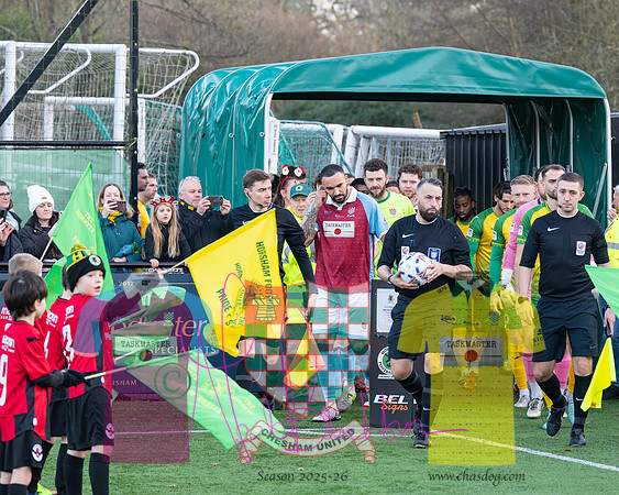 Horsham 1 v 2 Chesham United (90 of 395)