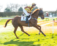 Race 5 - TBA members Mares and Fillies race (11 of 101).jpg
