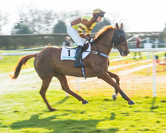 Race 5 - TBA members Mares and Fillies race (11 of 101).jpg
