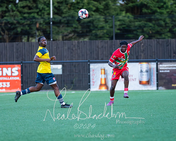 Windsor v Langley (81 of 235)