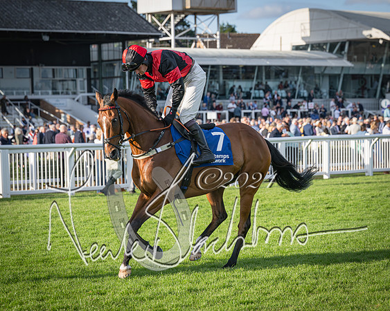 Race 4 - Peretemps Stratford Foxhunters (32 of 168)