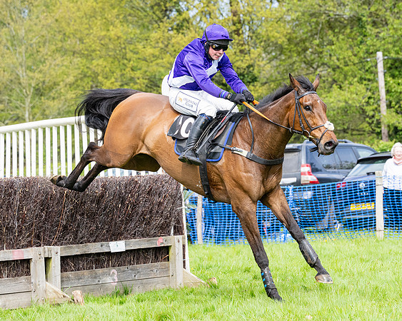 Race 2 - Veteran Horse (75 of 80)