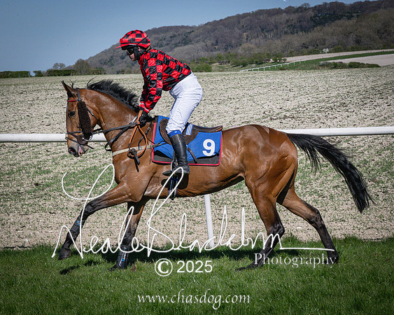 Race 5 - The restricted (36 of 113)