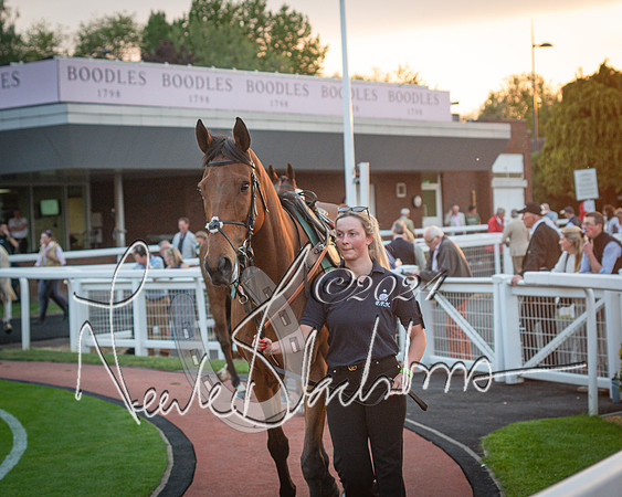 Race - 7 The Royal Gloucester Hussars Open Hunter's steeplechase 2m4f 127y (7 of 210)