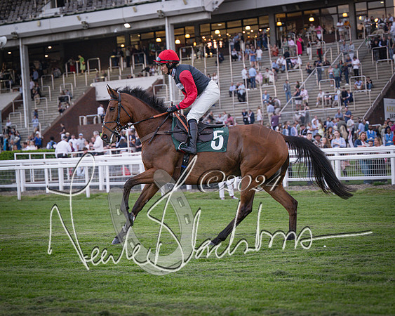 Race - 7 The Royal Gloucester Hussars Open Hunter's steeplechase 2m4f 127y (28 of 210)