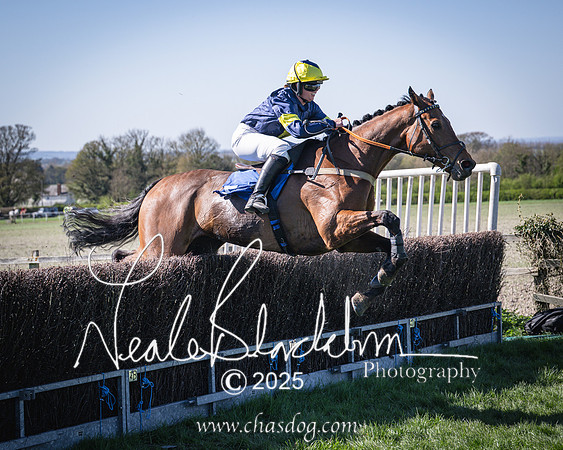 Race 5 - The restricted (83 of 113)