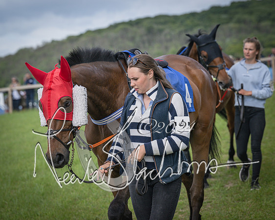 Race 4 - The Dickie Lim Mixed Open Race (3 of 101)