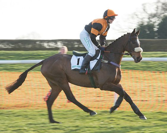 Race 7 - Novice Riders Race (17 of 145).jpg