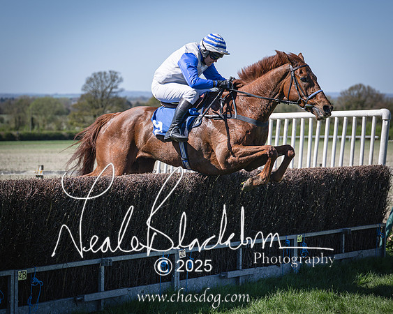 Race 2 - The Maiden (83 of 118)