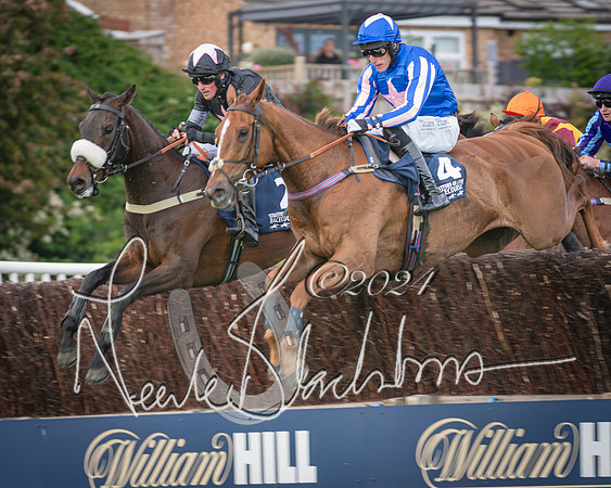 Race 1 - Pointing Pointers Restricted Final (40 of 79)