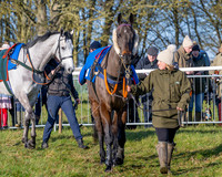 Race 2 - Maiden Race (9 of 147)
