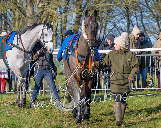 Race 2 - Maiden Race (9 of 147)