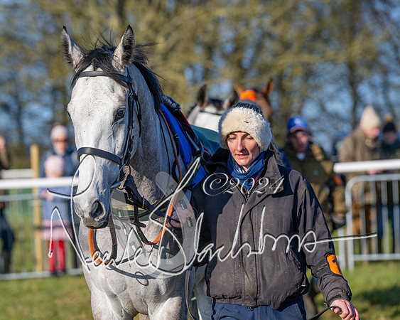 Race 2 - Maiden Race (10 of 147)