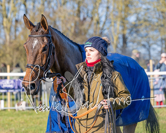Race 2 - Maiden Race (5 of 147)