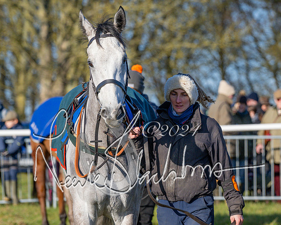 Race 2 - Maiden Race (30 of 147)