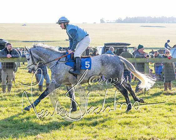 Race 2 - Maiden Race (36 of 147)