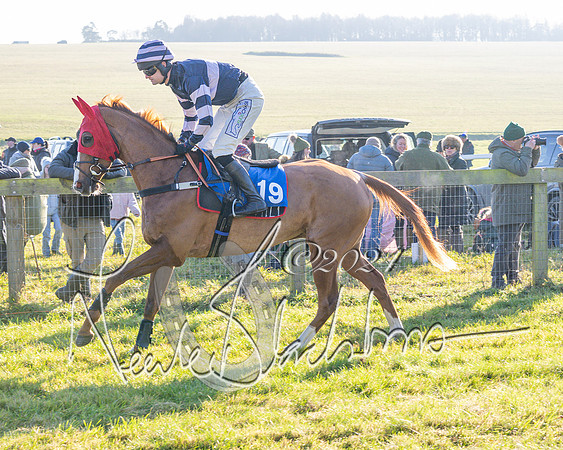 Race 2 - Maiden Race (39 of 147)