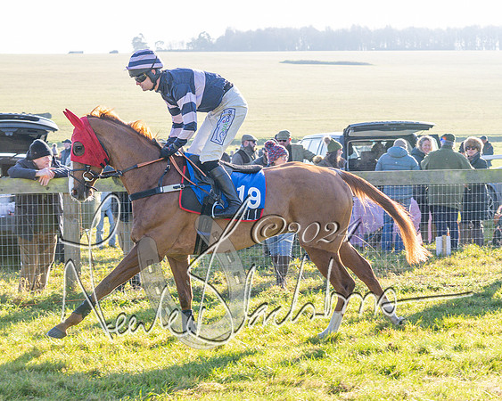 Race 2 - Maiden Race (40 of 147)