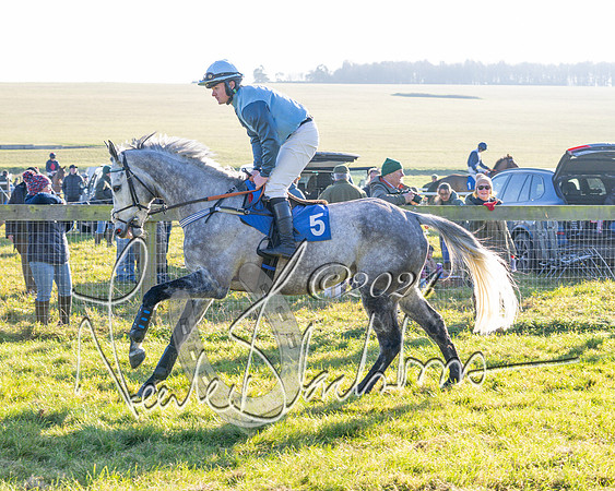 Race 2 - Maiden Race (34 of 147)