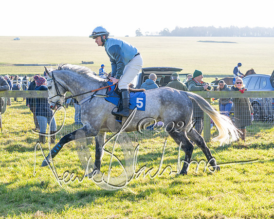 Race 2 - Maiden Race (35 of 147)
