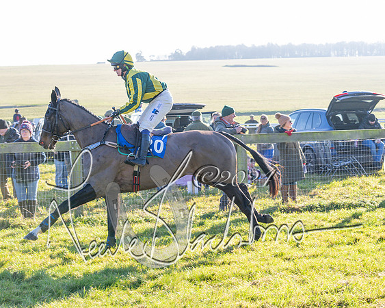 Race 2 - Maiden Race (37 of 147)