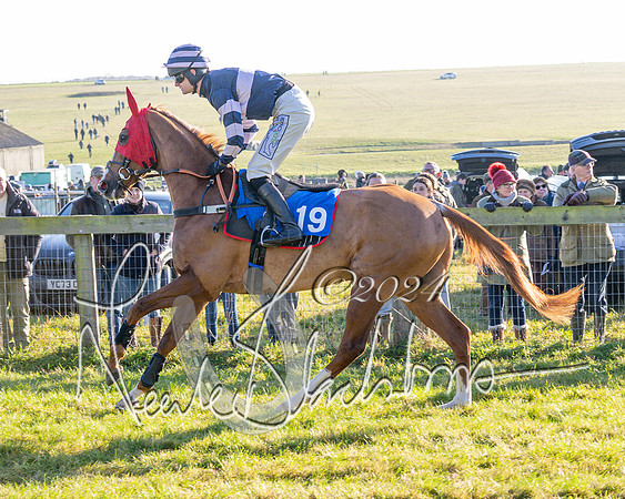 Race 2 - Maiden Race (41 of 147)