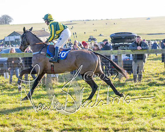 Race 2 - Maiden Race (38 of 147)
