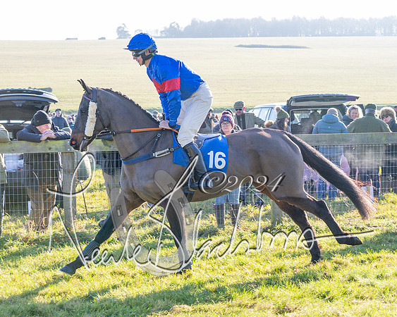 Race 2 - Maiden Race (45 of 147)