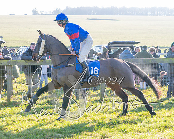 Race 2 - Maiden Race (44 of 147)