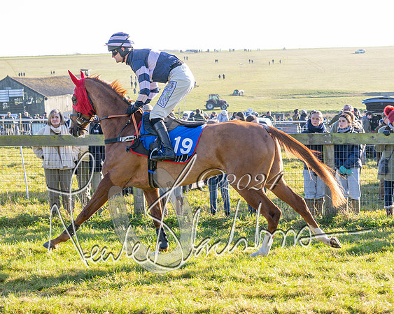 Race 2 - Maiden Race (42 of 147)