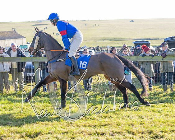Race 2 - Maiden Race (46 of 147)