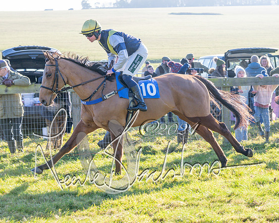Race 2 - Maiden Race (51 of 147)