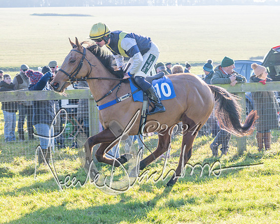 Race 2 - Maiden Race (49 of 147)