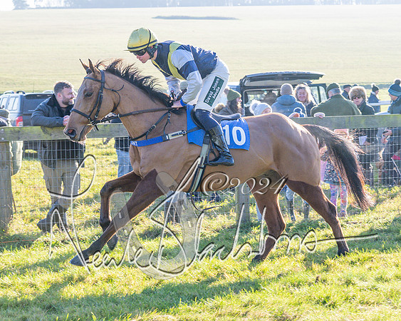 Race 2 - Maiden Race (50 of 147)