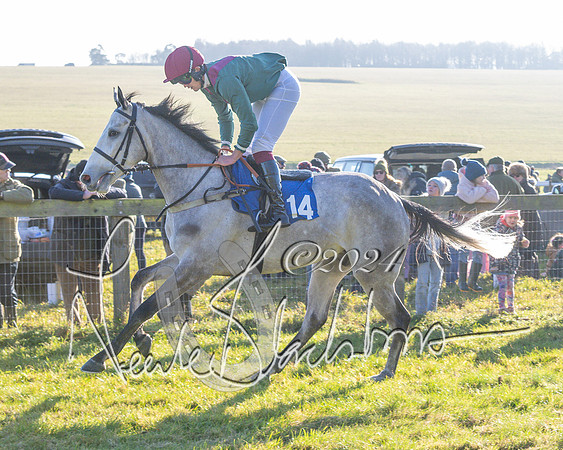 Race 2 - Maiden Race (57 of 147)