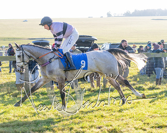 Race 2 - Maiden Race (53 of 147)