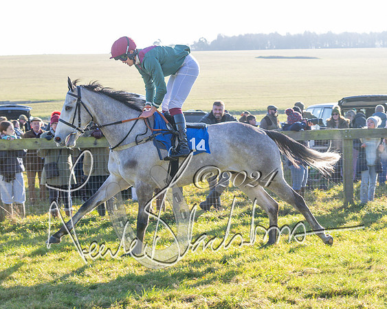 Race 2 - Maiden Race (58 of 147)