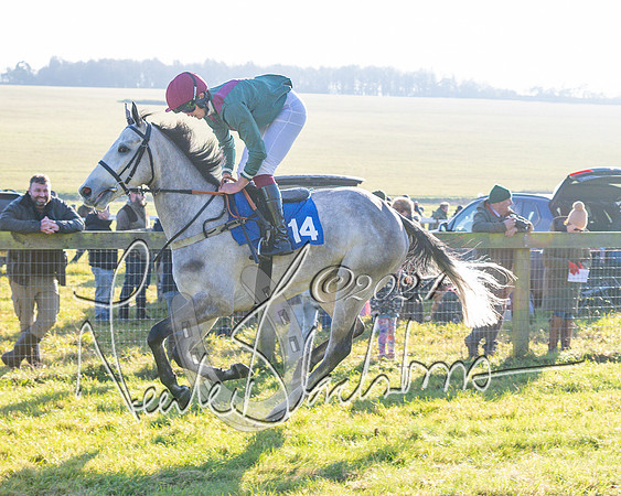 Race 2 - Maiden Race (56 of 147)