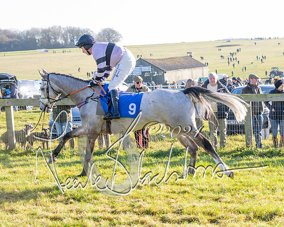 Race 2 - Maiden Race (55 of 147)