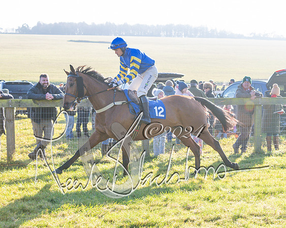 Race 2 - Maiden Race (60 of 147)
