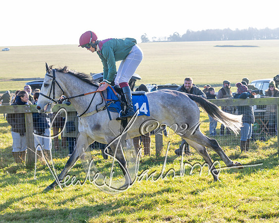 Race 2 - Maiden Race (59 of 147)