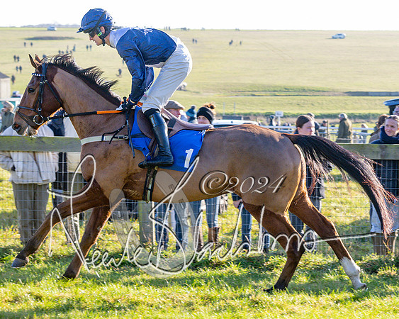 Race 2 - Maiden Race (67 of 147)