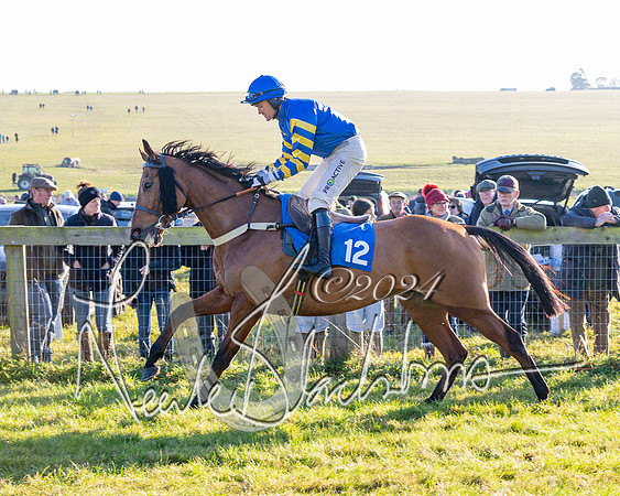 Race 2 - Maiden Race (63 of 147)