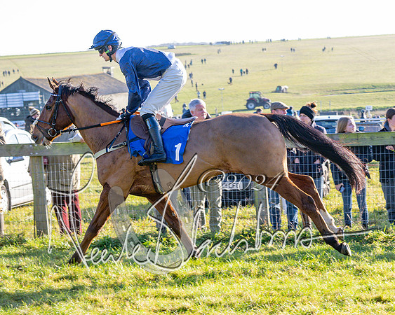 Race 2 - Maiden Race (69 of 147)