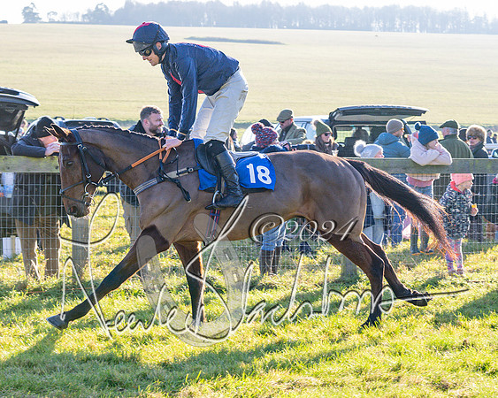 Race 2 - Maiden Race (66 of 147)