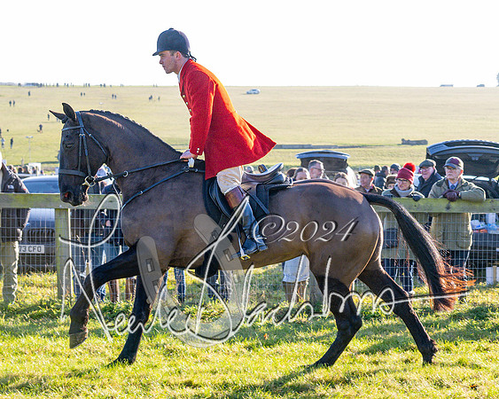 Race 2 - Maiden Race (72 of 147)