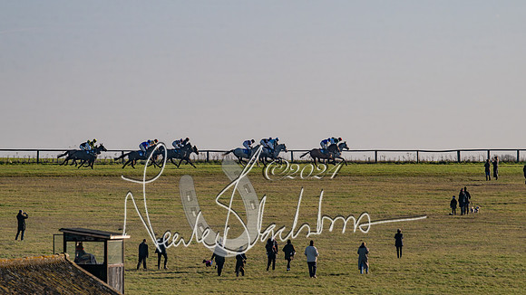 Race 2 - Maiden Race (73 of 147)