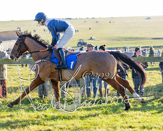 Race 2 - Maiden Race (68 of 147)